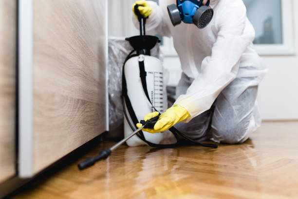 Best Bed Bug Extermination  in Delano, MN