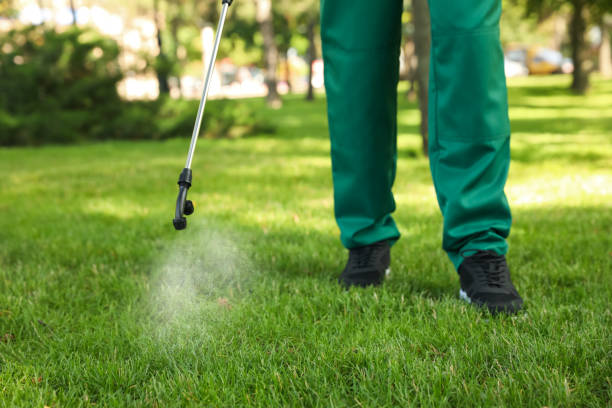 Best Commercial Pest Control Services  in Delano, MN