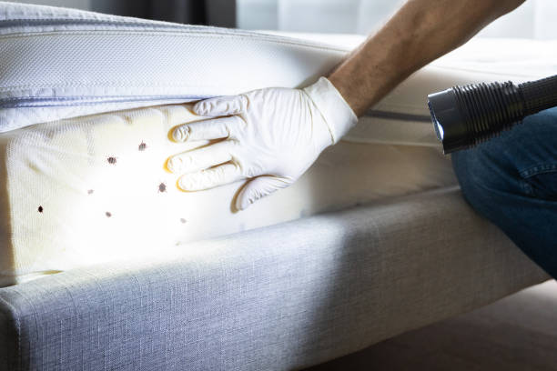 Best Wildlife Control Services  in Delano, MN